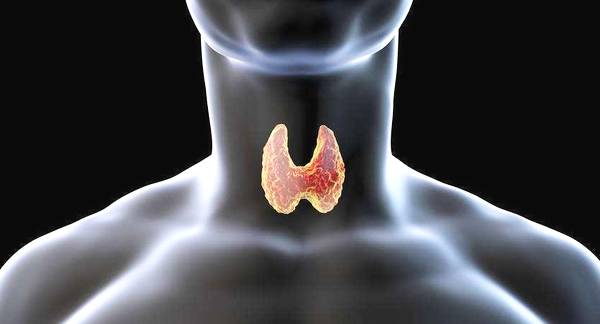 伟德国际唯一官网入口